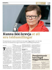 Síða 17