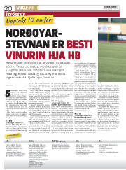 Síða 20
