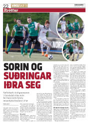 Síða 22