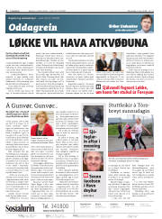Síða 2