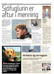 Síða 8
