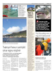 Síða 9