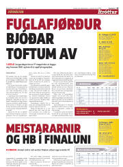 Síða 15