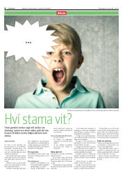 Síða 8
