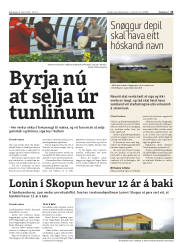 Síða 13