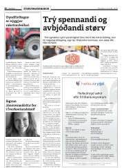 Síða 20