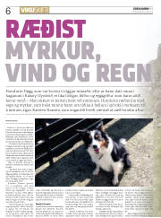 Síða 6