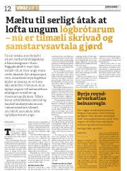 Síða 12