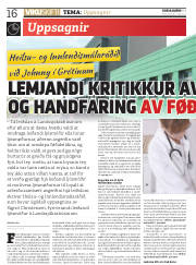 Síða 16