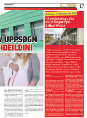 Síða 17