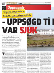 Síða 18