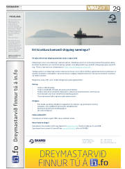 Síða 29