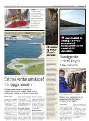 Síða 3