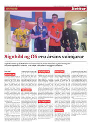 Síða 13