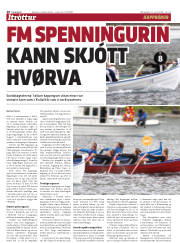 Síða 20