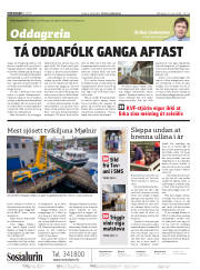 Síða 2
