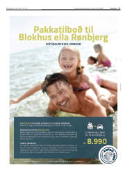 Síða 3