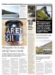 Síða 4