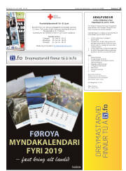 Síða 17
