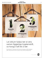 Síða 43