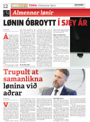 Síða 12