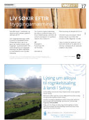 Síða 17