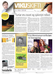 Síða 2