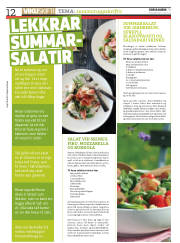 Síða 12