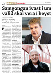 Síða 22