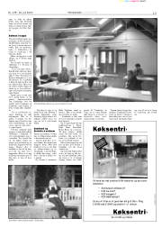 Síða 13
