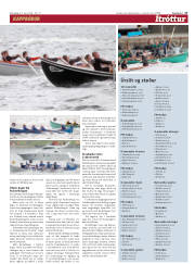 Síða 17