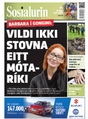 Síða 1