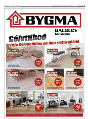 Síða 5