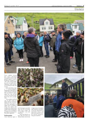 Síða 9