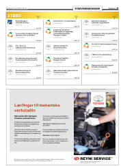 Síða 19