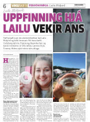 Síða 6