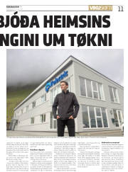 Síða 11