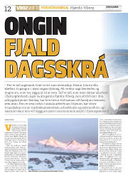 Síða 12