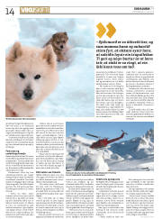 Síða 14