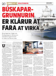 Síða 20