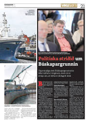Síða 21