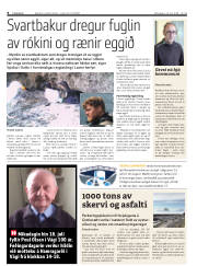 Síða 8