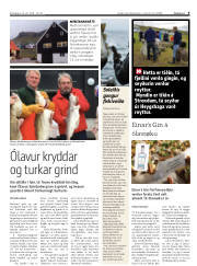 Síða 9