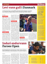 Síða 13
