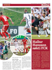 Síða 15