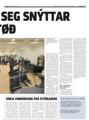 Síða 5