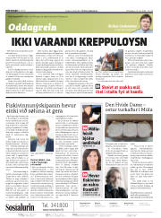 Síða 2