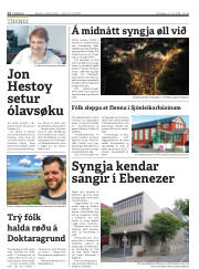 Síða 12