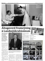 Síða 14