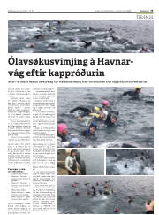 Síða 15